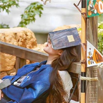 卧虎藏龙：青冥宝剑